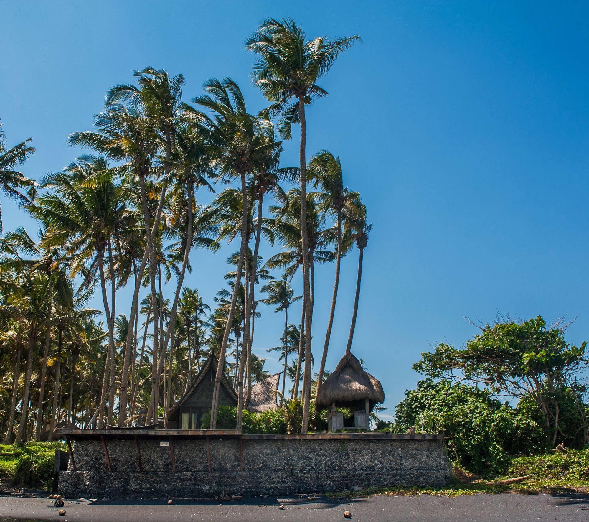 Most Exotic Beachfront Villa Keong Selemadeg Exteriér fotografie